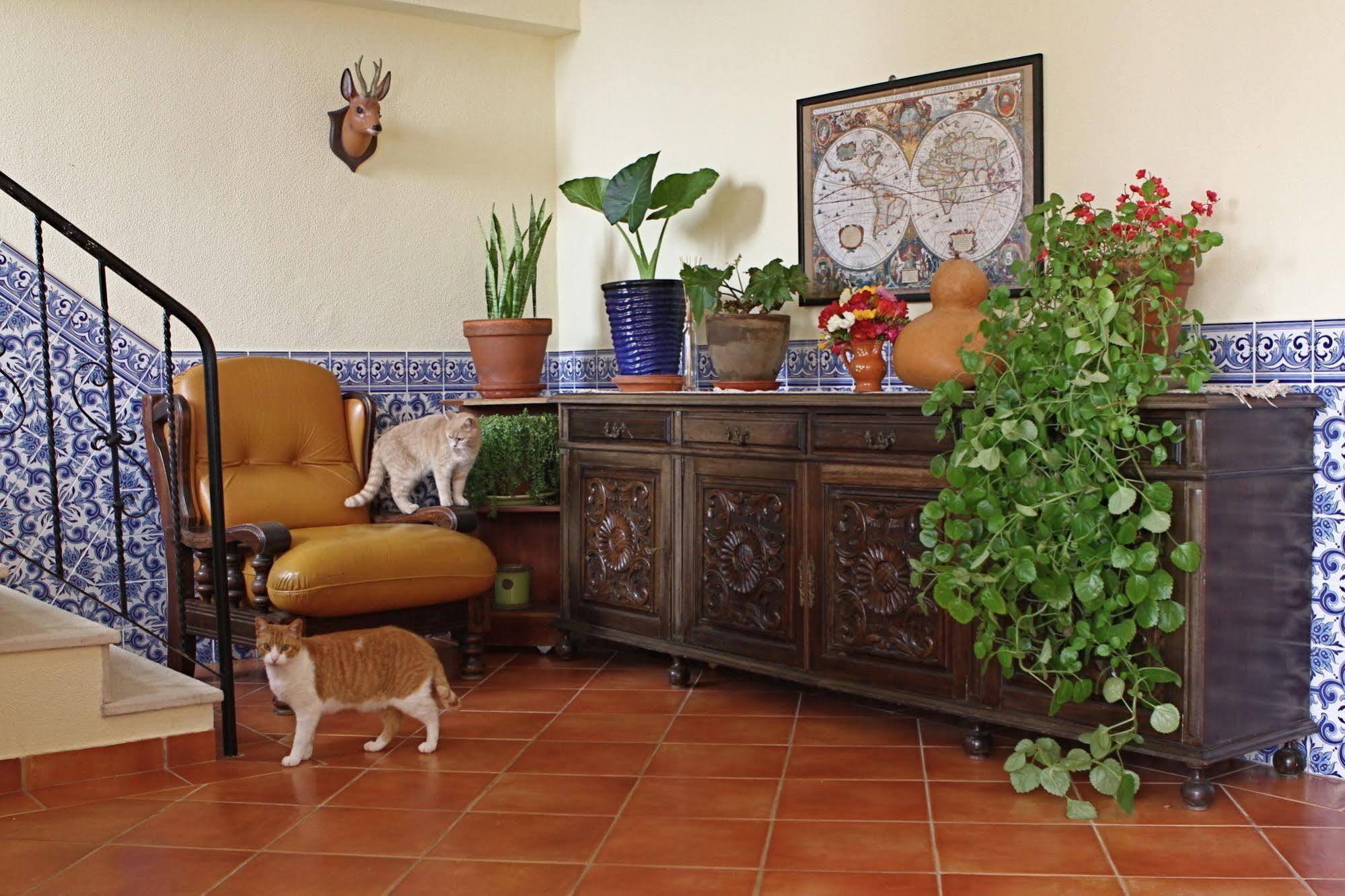 Vila Graciosa - Tranquility Oasis Lagos Luaran gambar